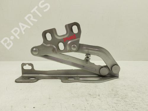 Hinge/Door check strap OPEL CORSA D (S07)  | BP29020929C146 