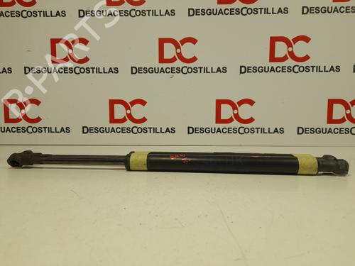 Tailgate lift support BMW 3 (E46) 320 d | BP17405952C138 