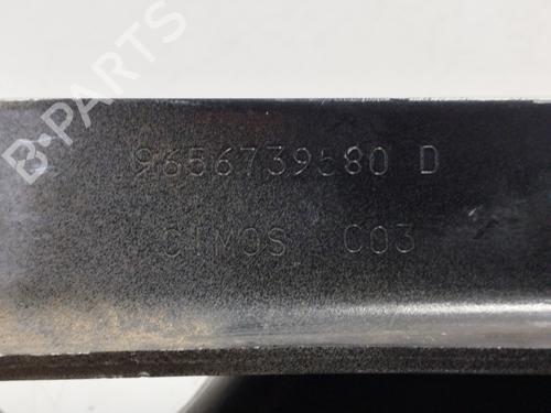Hinge/Door check strap PEUGEOT 308 I (4A_, 4C_)  | BP25136340C146 