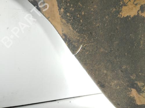 Wheel arch VW CADDY III Box Body/MPV (2KA, 2KH, 2CA, 2CH) 1.6 TDI | BP24955655C56