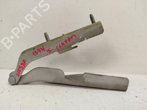 Hinge/Door check strap CITROËN C3 I (FC_, FN_)  | BP26959825C146 