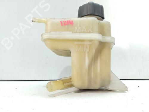 Expansion tank NISSAN QASHQAI / QASHQAI +2 I (J10, NJ10, JJ10E)  | BP24343576C120 