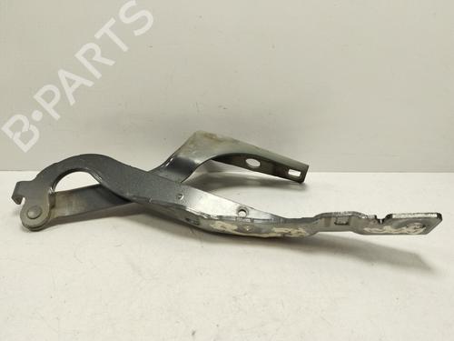 Hinge/Door check strap PEUGEOT 308 I (4A_, 4C_) | BP25136339C146