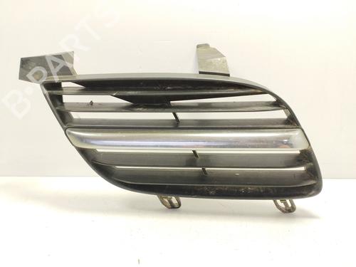 Gitter für NISSAN ALMERA II (N16) 2.2 Di (110 hp) 31189351