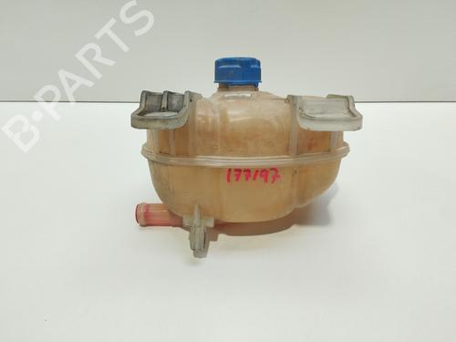 Expansion tank FIAT GRANDE PUNTO (199_) 1.4 16V | BP25743480C120