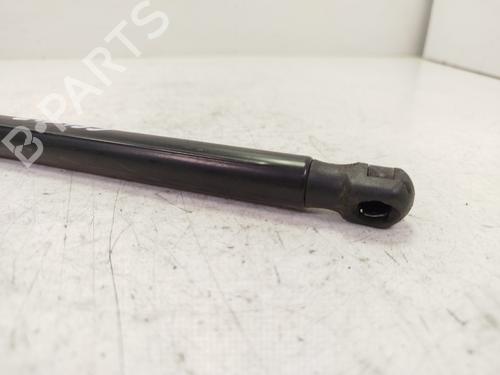 Hood lift support AUDI A4 B8 (8K2)  | BP27858377C139 