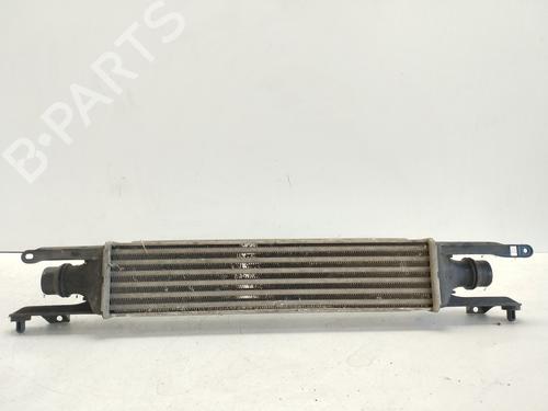 Intercooler OPEL CORSA D (S07) 1.3 CDTI (L08, L68) | BP29050235M30