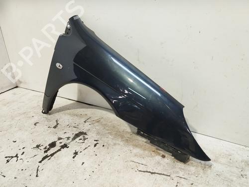 Right front fenders CITROËN C5 II (RC_) 1.6 HDi (RC8HZB) | BP24305300C42 