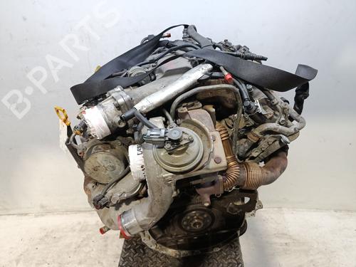 Engine OPEL SIGNUM Hatchback (Z03) 3.0 V6 CDTI (F48) | BP35944075M1 - Image 6