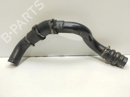 Used Pipe FORD FOCUS I (DAW, DBW) [1998-2009]  31798982