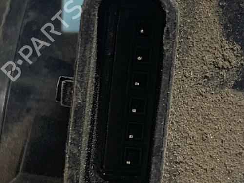 Pedal RENAULT CLIO III (BR0/1, CR0/1) 1.5 dCi (C/BR0G, C/BR1G) | BP17398909I4 