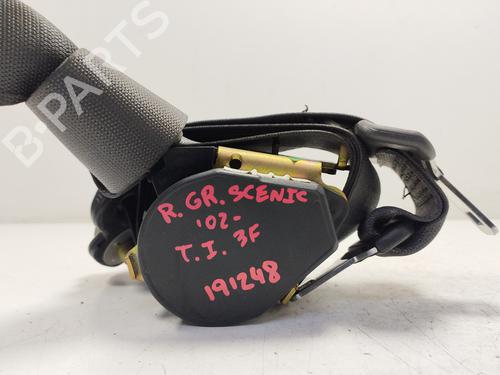 Used Rear left seatbelt RENAULT SCÉNIC II (JM0/1_) [2003-2010]  30288516