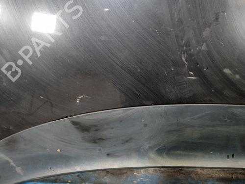 Hood SEAT ALTEA (5P1)  | BP25250287C1 