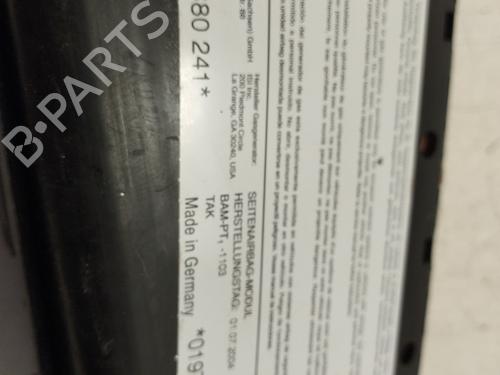 Electronic module AUDI A3 (8P1) 2.0 TDI 16V | BP17424438M83 