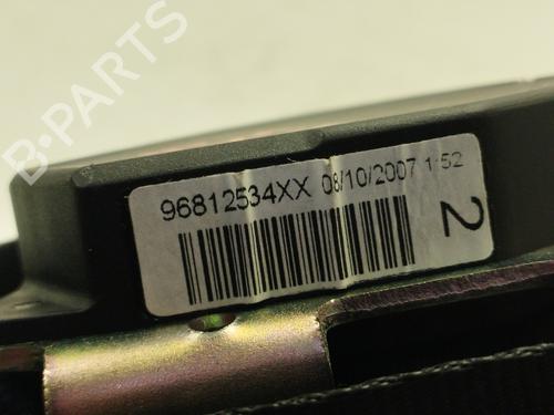 Rear left seatbelt PEUGEOT 308 I (4A_, 4C_)  | BP25754520I29 