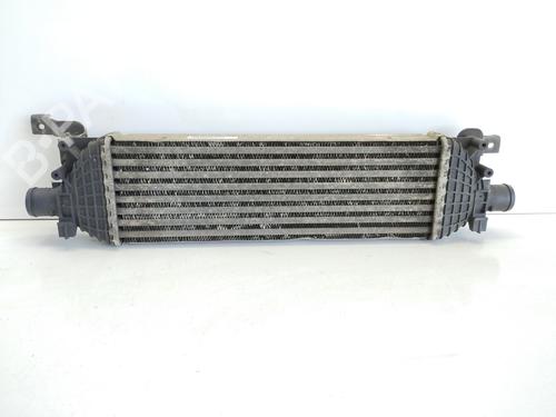 Used Intercooler FORD FIESTA V (JH_, JD_) [2001-2014]  22689891