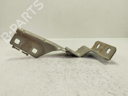 hingedoor-check-strap-renault-megane-ii-saloon-lm01_-2003-36003661 main image