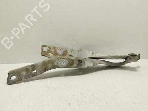 Hinge/Door check strap PEUGEOT 308 I (4A_, 4C_)  | BP25136338C146 