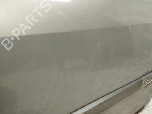Right front door RENAULT SCÉNIC II (JM0/1_)  | BP24020289C3 