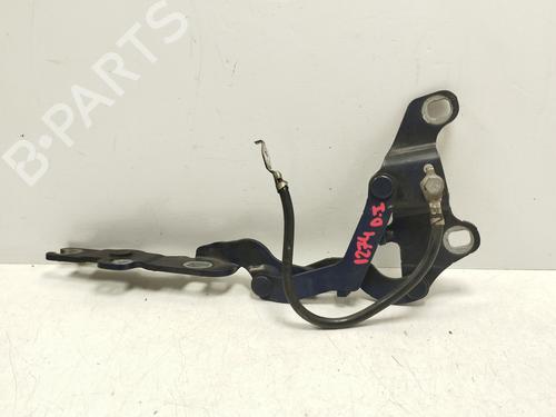 Hinge/Door check strap BMW 1 (E87) 118 d | BP23266125C146