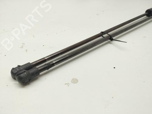 Tailgate lift support SEAT TOLEDO III (5P2)  | BP17420979C138 