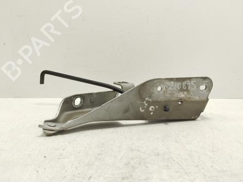 Used Hinge/Door check strap CITROËN C3 I (FC_, FN_) [2002-2013]  29062545