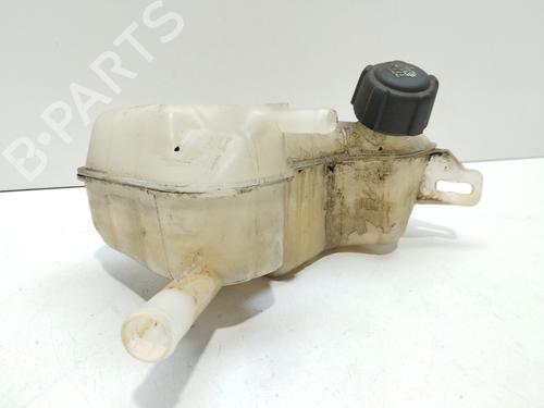 Expansion tank RENAULT GRAND SCÉNIC II (JM0/1_) 1.9 dCi (JM15) | BP17800757C120 