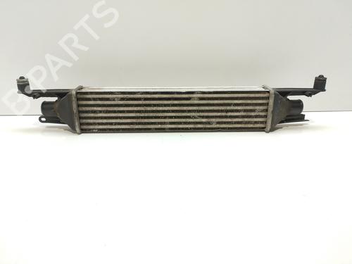 Intercooler FIAT GRANDE PUNTO (199_) 1.3 D Multijet | BP22689746M30 