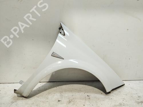 Used Right front fenders RENAULT MEGANE II (BM0/1_, CM0/1_) [2001-2012]  30055363