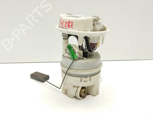 Fuel pump PEUGEOT 307 SW (3H) | BP30744239M76