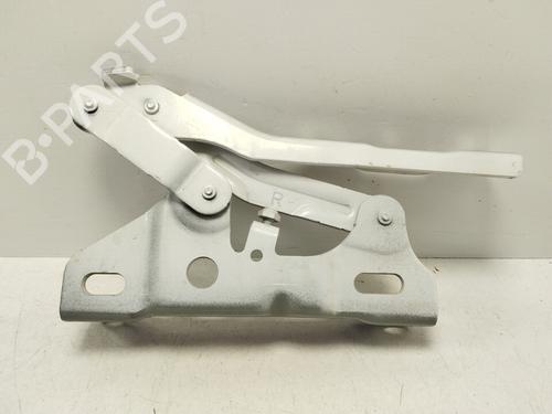 Used Hinge/Door check strap HYUNDAI TUCSON SUV Van (TLE) [2015-2020]  17426163