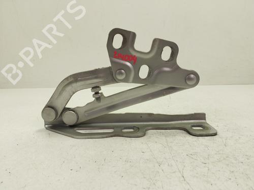 Hinge/Door check strap OPEL CORSA D (S07)  | BP29020930C146 