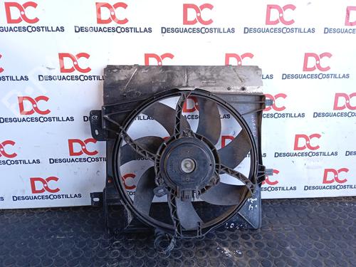 Used Radiator fan PEUGEOT 207 (WA_, WC_) [2006-2015]  31176218