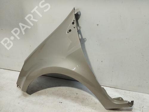 Left front fenders RENAULT CLIO III (BR0/1, CR0/1) 1.5 dCi | BP28478634C41 