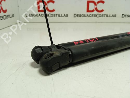 Tailgate lift support HYUNDAI i30 (FD)  | BP17411380C138