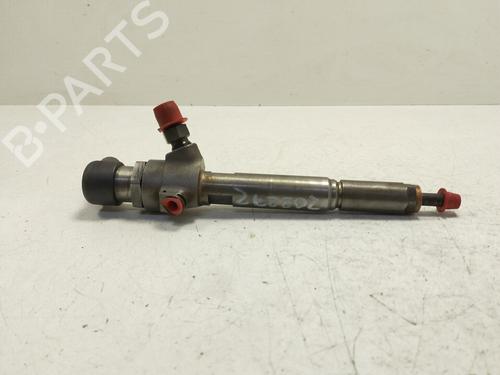 Used Injector RENAULT MEGANE II (BM0/1_, CM0/1_) [2001-2012]  22810333