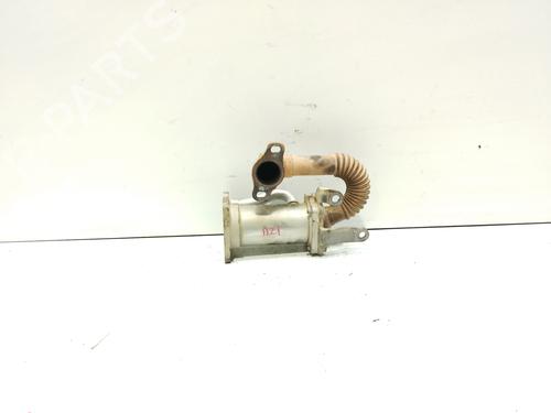 Egr RENAULT KANGOO / GRAND KANGOO II (KW0/1_)  | BP22890765M69