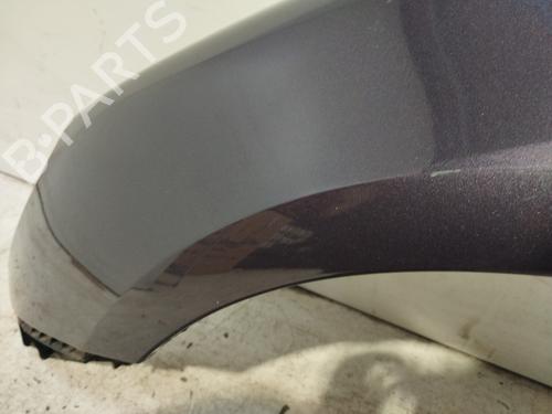 Left front fenders PEUGEOT 307 (3A/C) 1.6 16V | BP24058405C41 