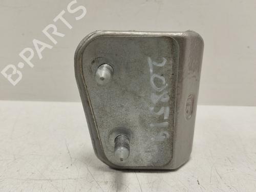 Hinge/Door check strap MERCEDES-BENZ S-CLASS (W221, V221) S 350 (221.056, 221.156) | BP25710102C146 