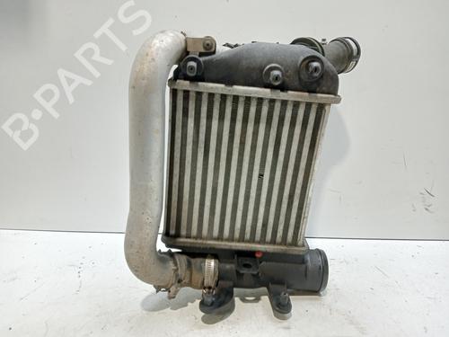 Intercooler AUDI A6 C6 (4F2) [2004-2011]  30096289