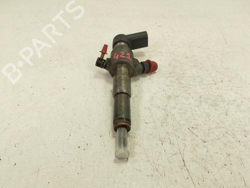 Injektor CITROËN C3 I (FC_, FN_) 1.4 HDi | BP30000305M100 