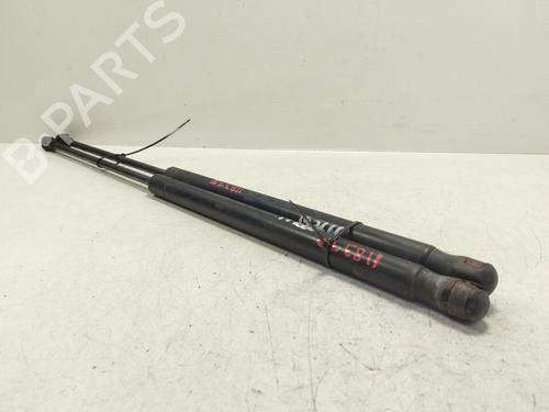 Tailgate lift support SEAT IBIZA III (6L1) | BP30193283C138