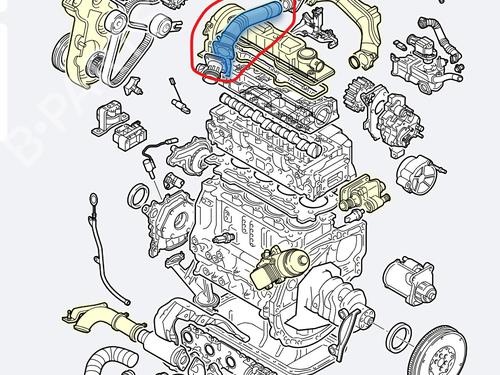 BP31800317M125 main image