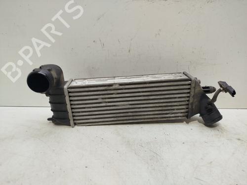 Intercooler CITROËN C8 (EA_, EB_) 2.2 HDi | BP31939773M30