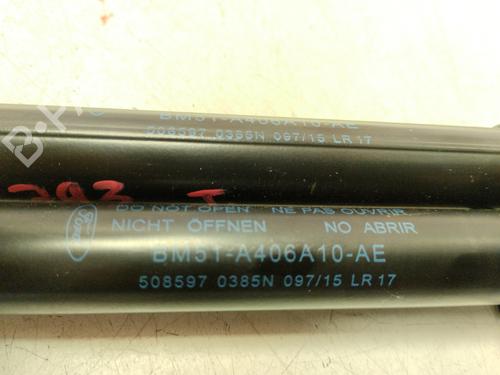 Tailgate lift support FORD FOCUS III 1.6 TDCi | BP17419371C138 