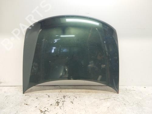 Used Hood VW PASSAT B5 (3B2) 1.9 TDI (110 hp) 24366938