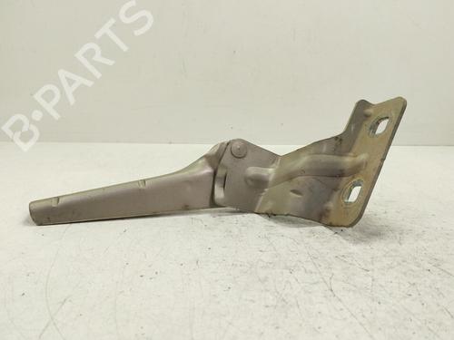 hingedoor-check-strap-renault-megane-ii-saloon-lm01_-2003-36003660 main image