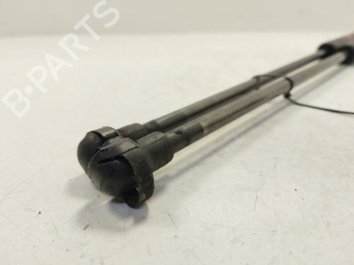 Tailgate lift support CITROËN XSARA (N1) 1.9 TD | BP28088812C138 