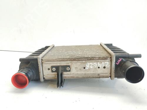 Intercooler RENAULT CLIO III (BR0/1, CR0/1) 1.2 16V (BR0P, CR0P) | BP28715009M30