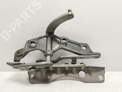 Hinge/Door check strap MERCEDES-BENZ S-CLASS (W221, V221) S 350 (221.056, 221.156) | BP25846603C146 